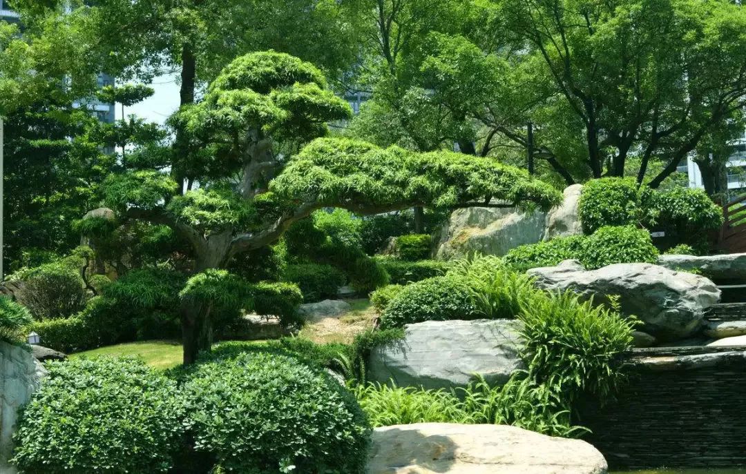 園林設計落地難的問題,被室內設計師說出來了.